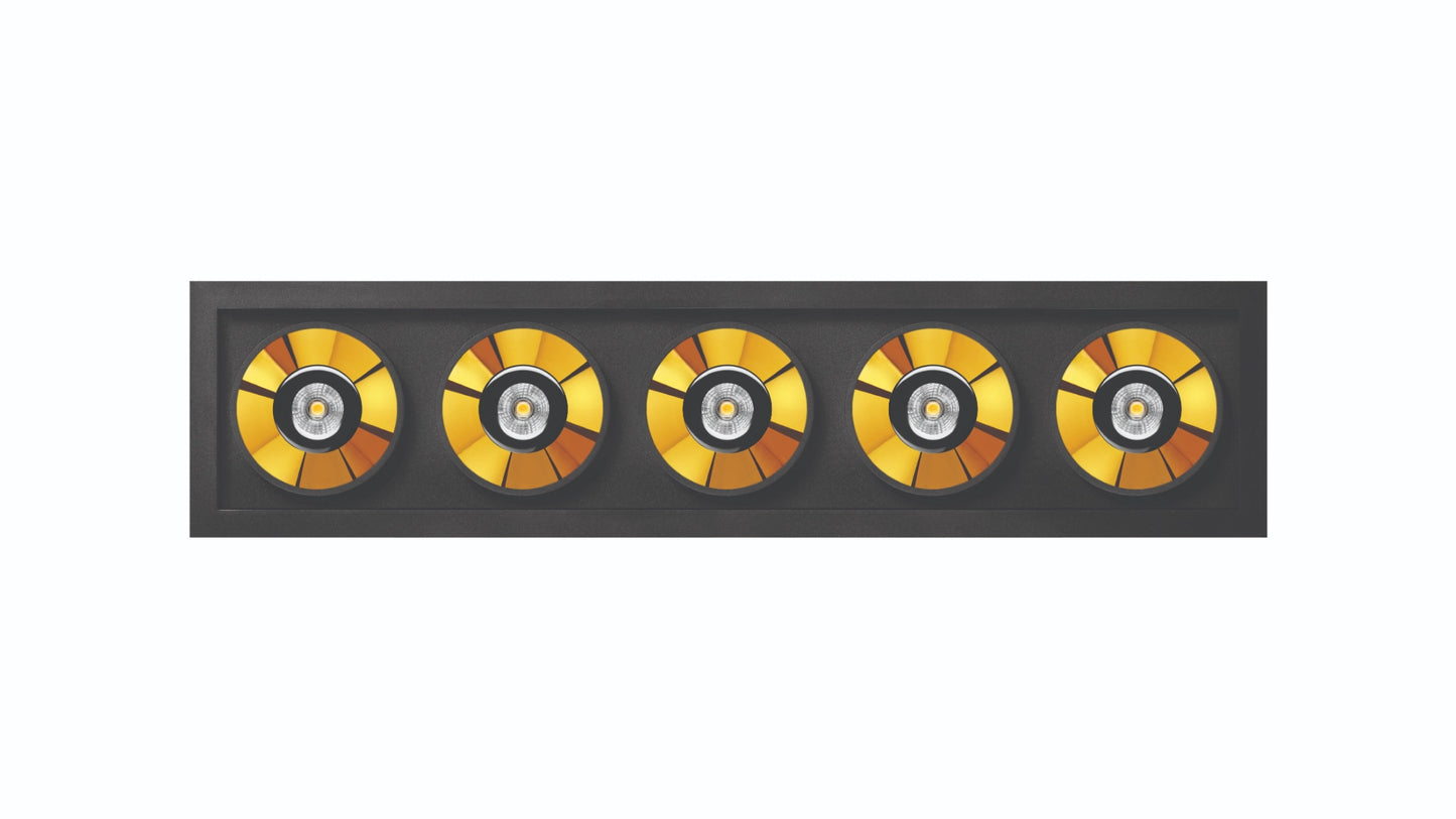 Black Foster 5 Spots