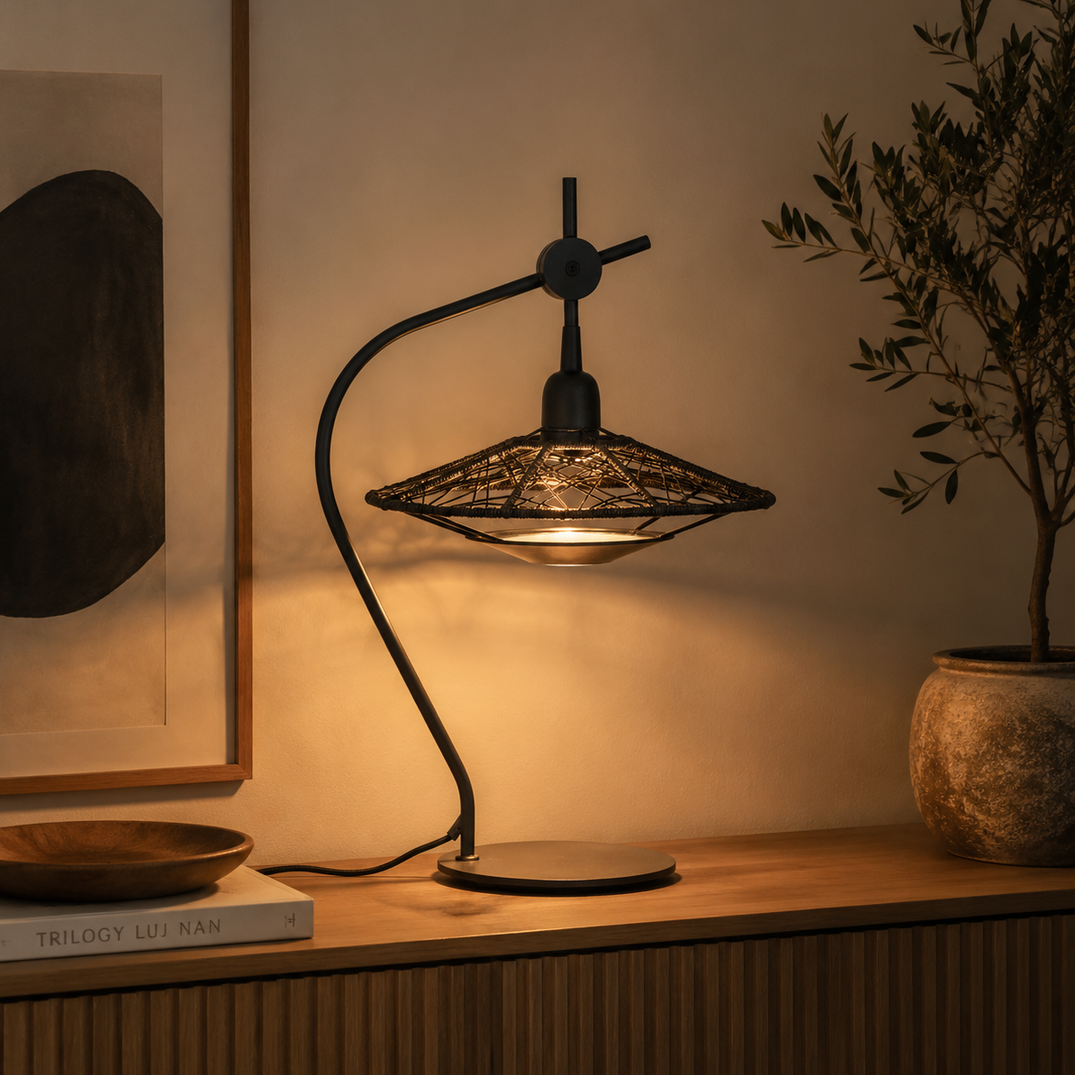 Carpa Lampes à poser Noir