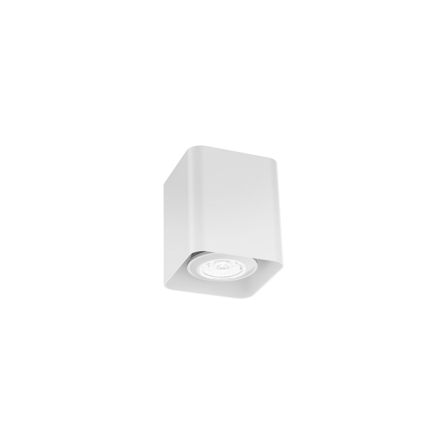 Docus Mini 1.0 PAR16 Plafonniers