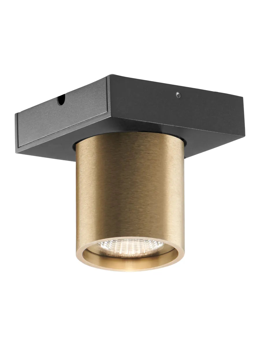 Focus 1 Plafonniers