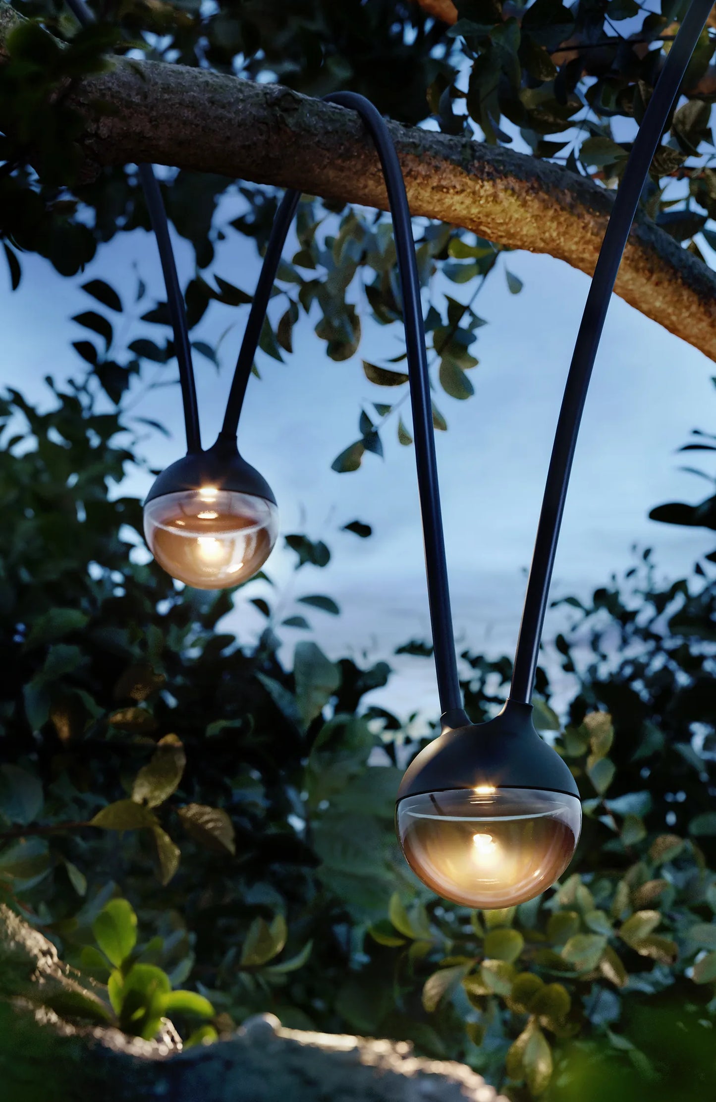 Cherry Bubbls Plug Baladeuses et Nomades