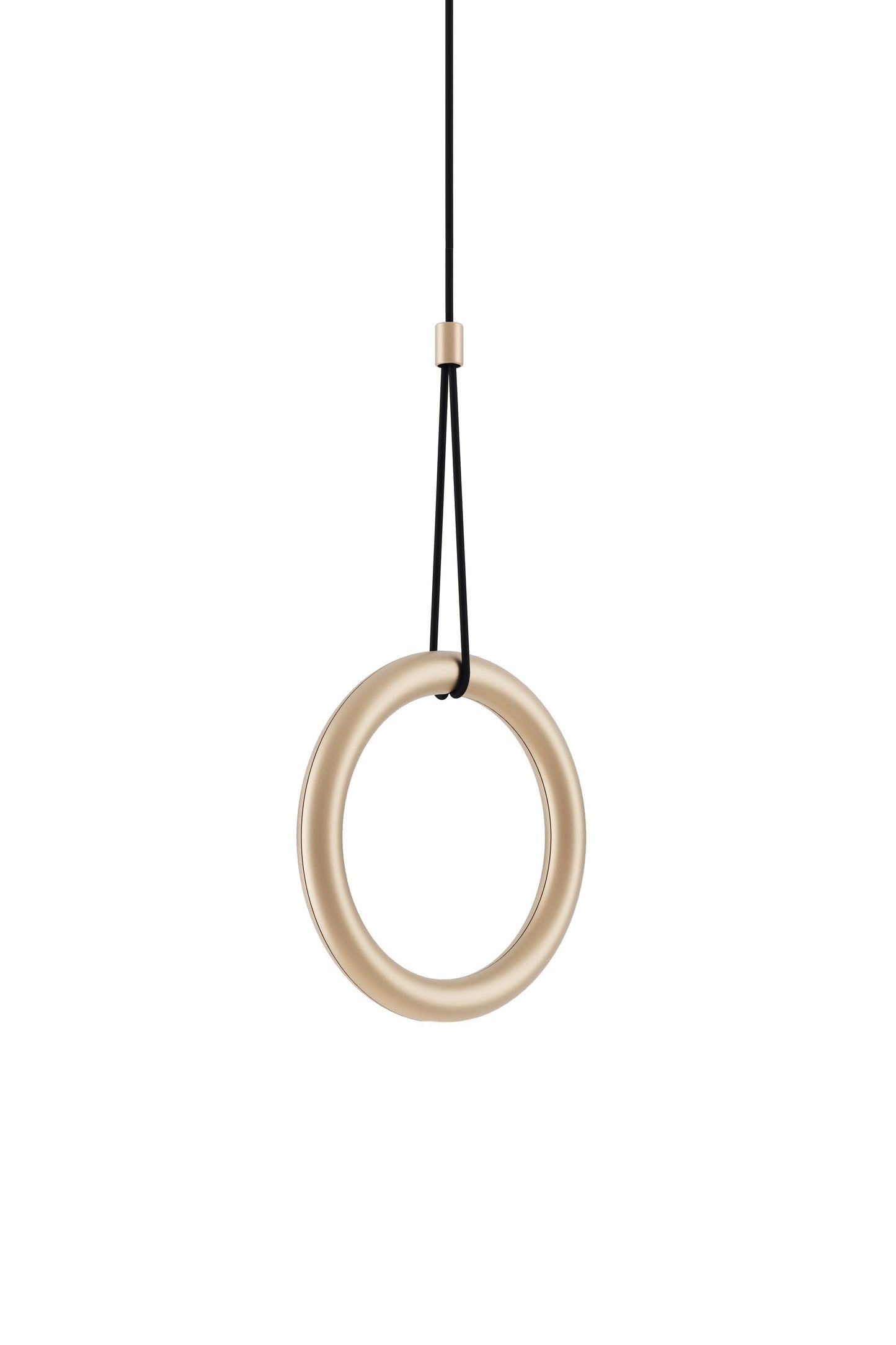 Ivy I Suspensions LED