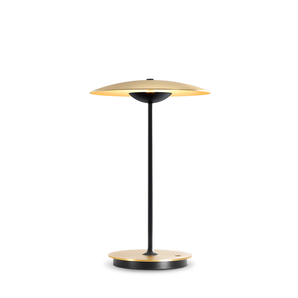 Ginger 20 M Baladeuses et nomades