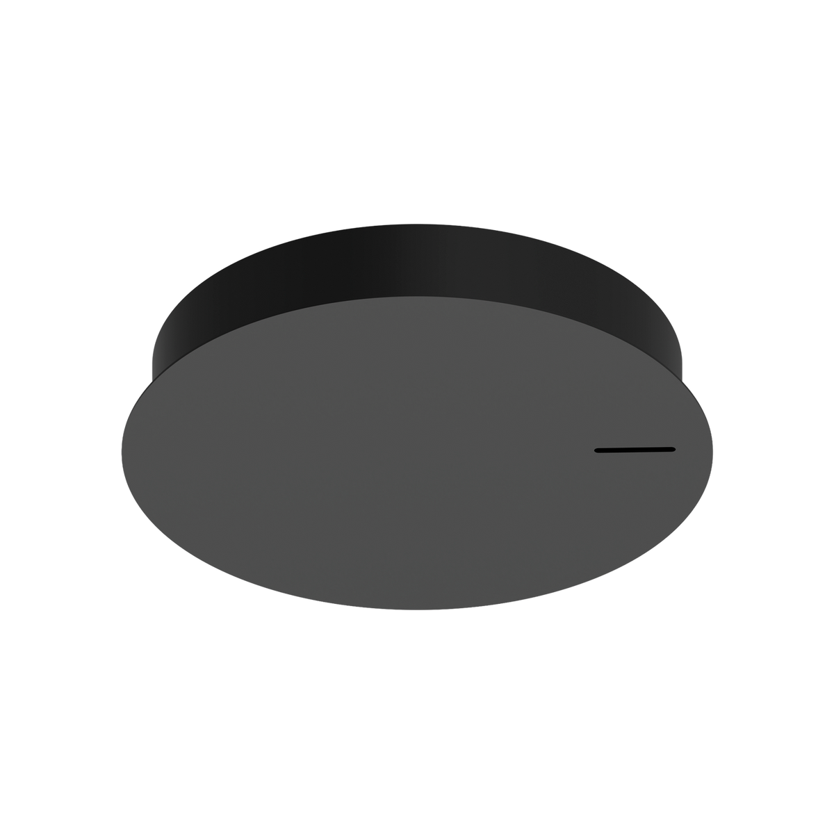 Loop Pendant Kit 1L A Ø290mm Accessoires