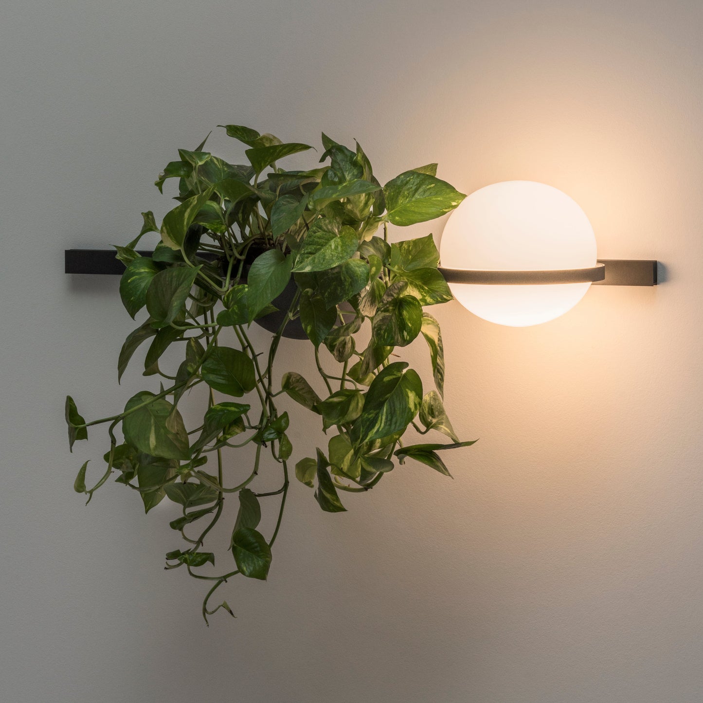 Palma Appliques LED
