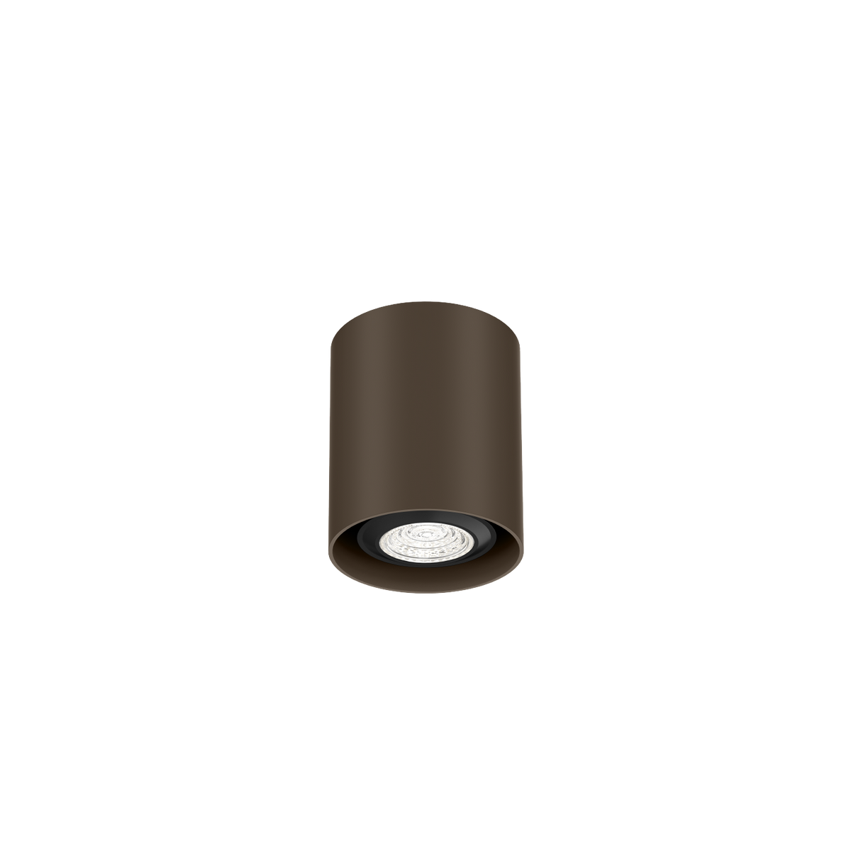 Ray Mini 1.0 PAR16 Plafonniers