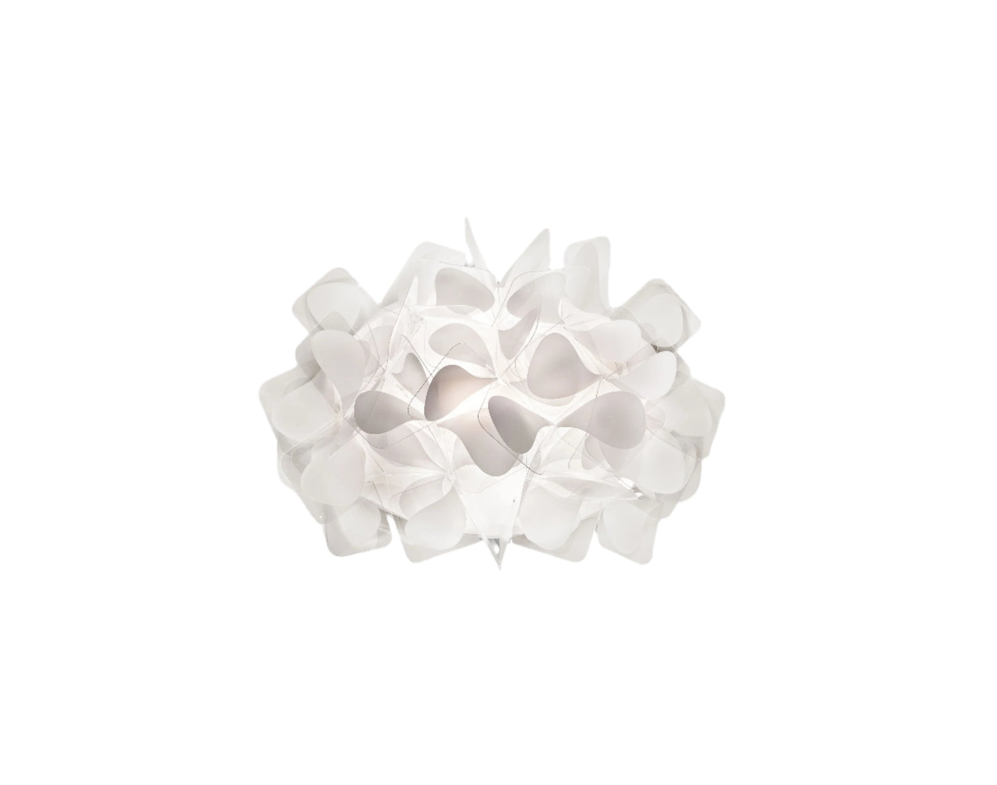 Clizia Mama Non Mama Appliques