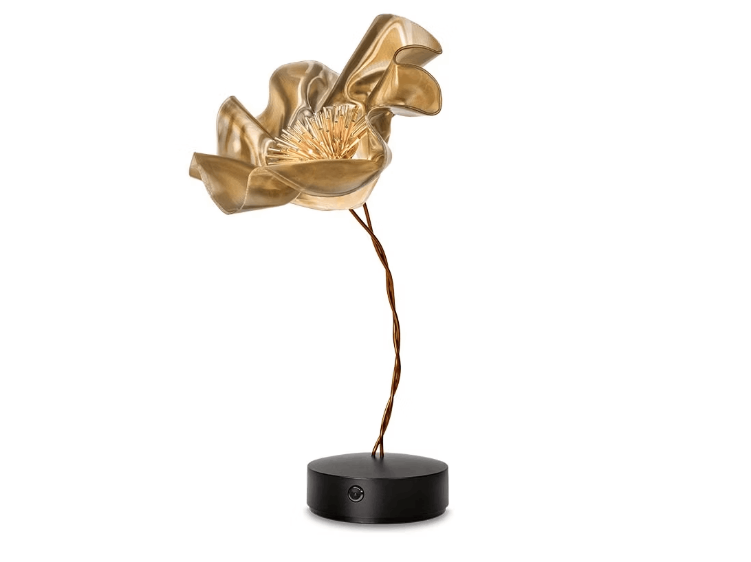 Lafleur Battery Table Baladeuses et nomades LED