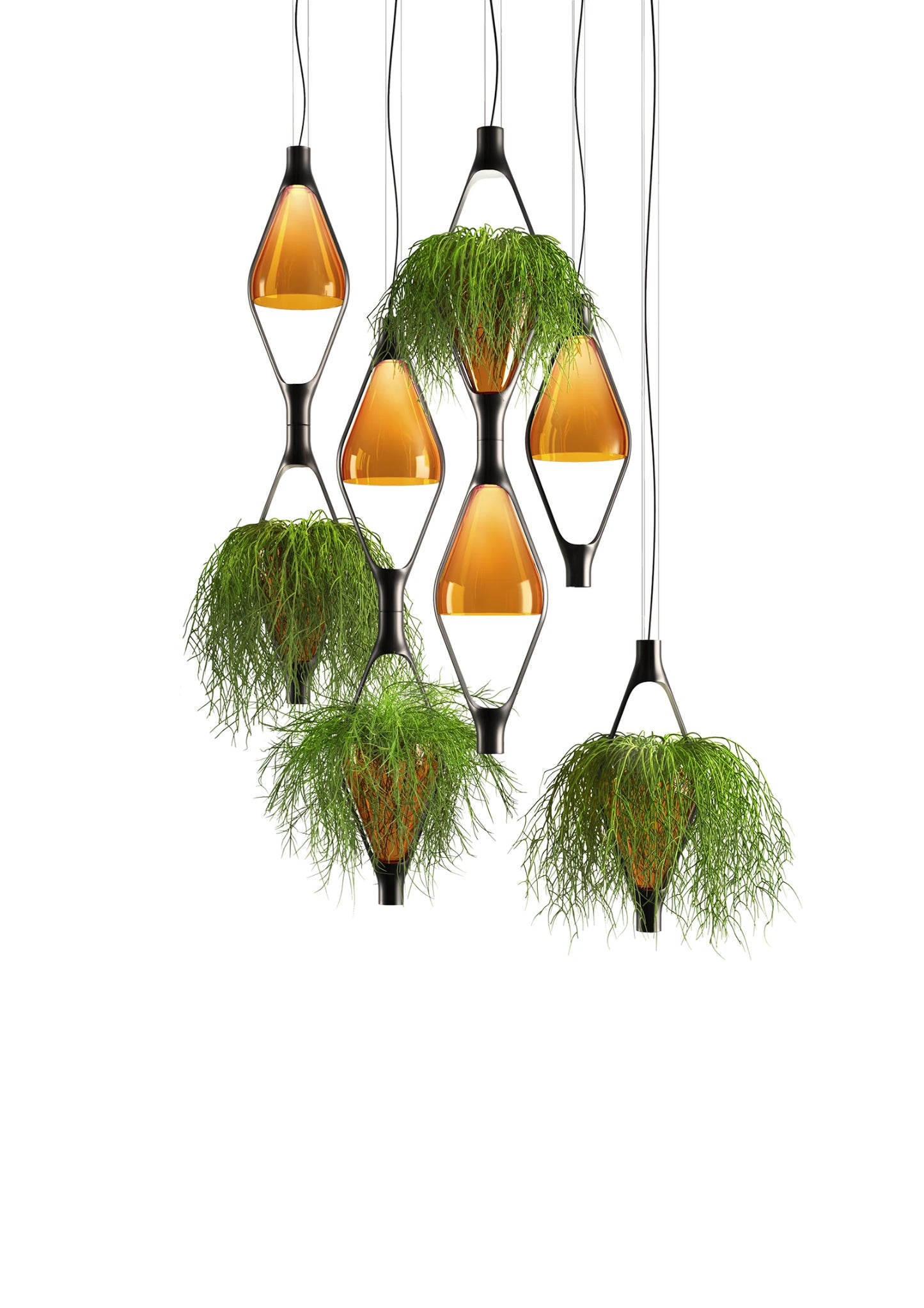 Vice Versa Suspensions Ambre