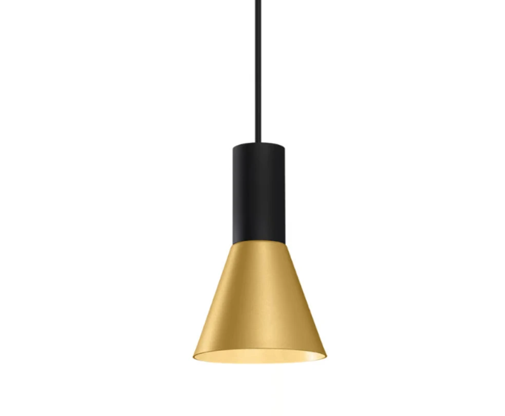 Odrey 1.0 PAR16 Suspensions LED Noir