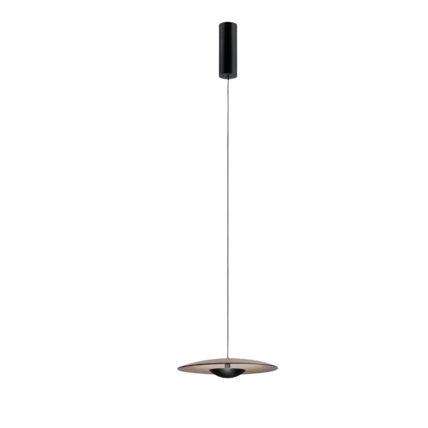 Ginger 20 Suspensions LED