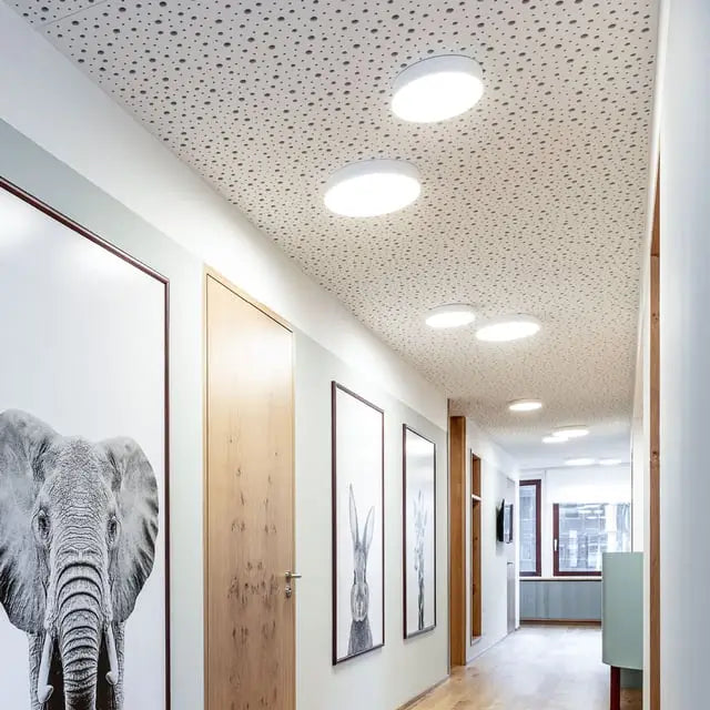 Ross IP54 1.0 LED 3000K/4000K/6000K Plafonniers