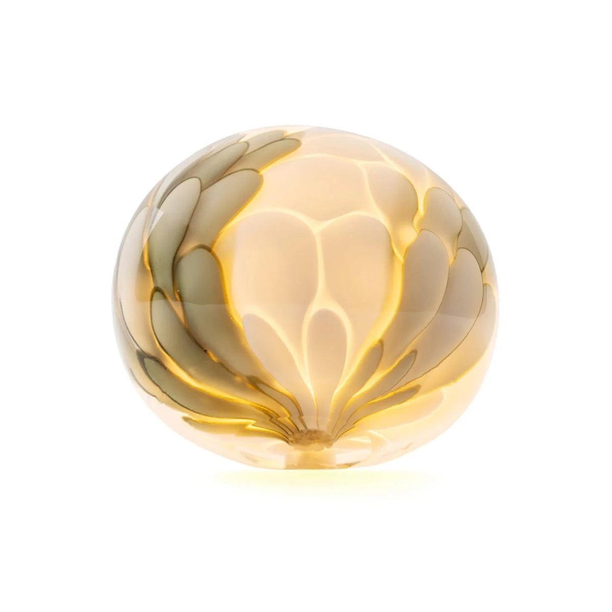 118 Portable Baladeuses et nomades LED