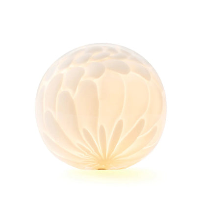 118 Portable Baladeuses et nomades LED