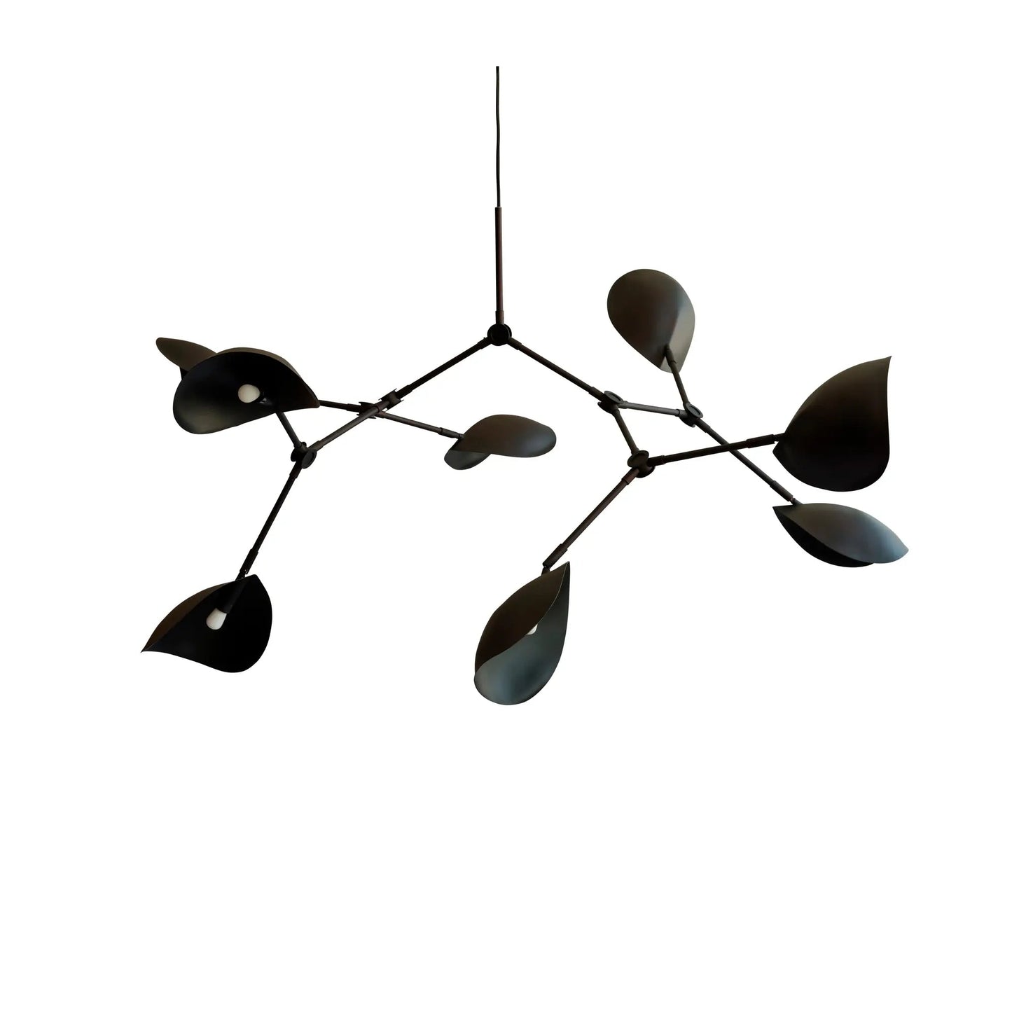 Stingray Suspensions