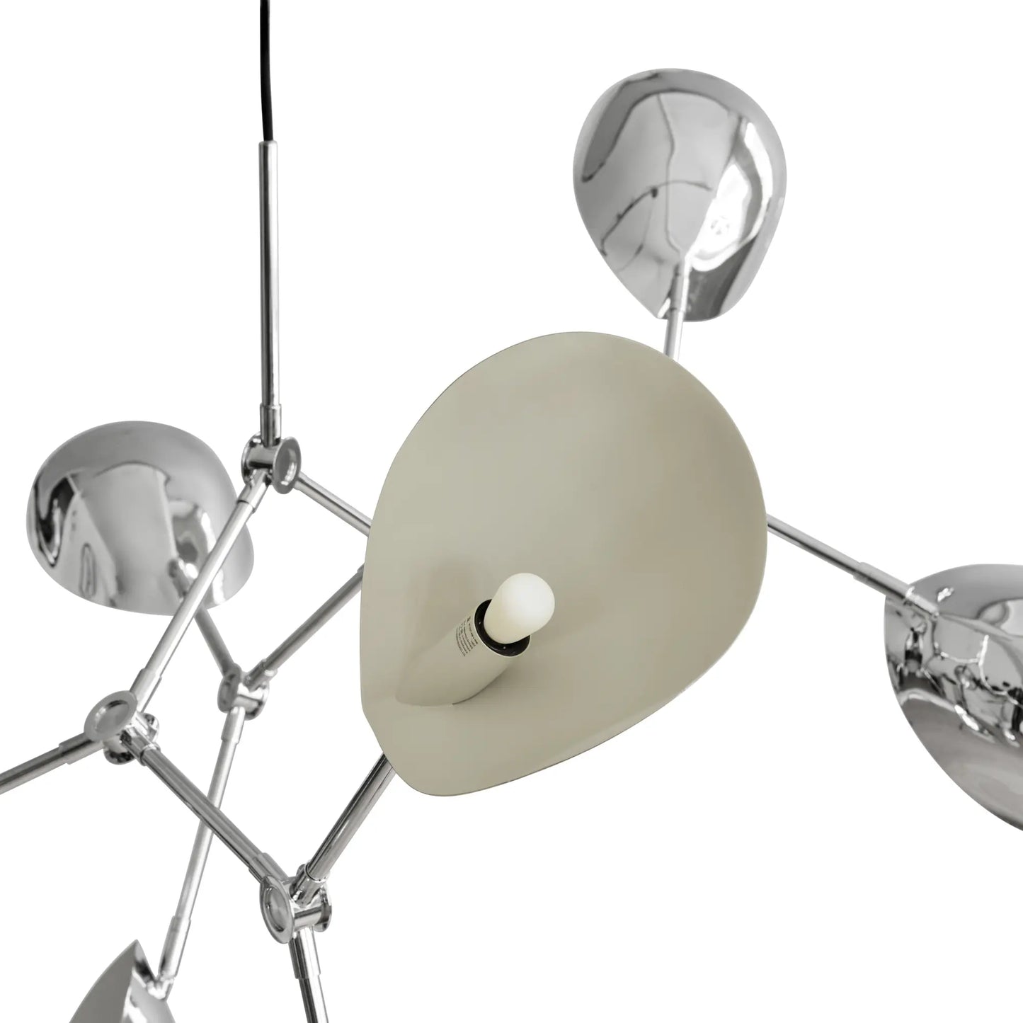 Stingray Suspensions
