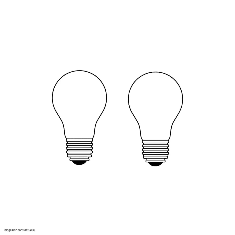 2 x Ampoule LED E27 satinée 17W dimmable