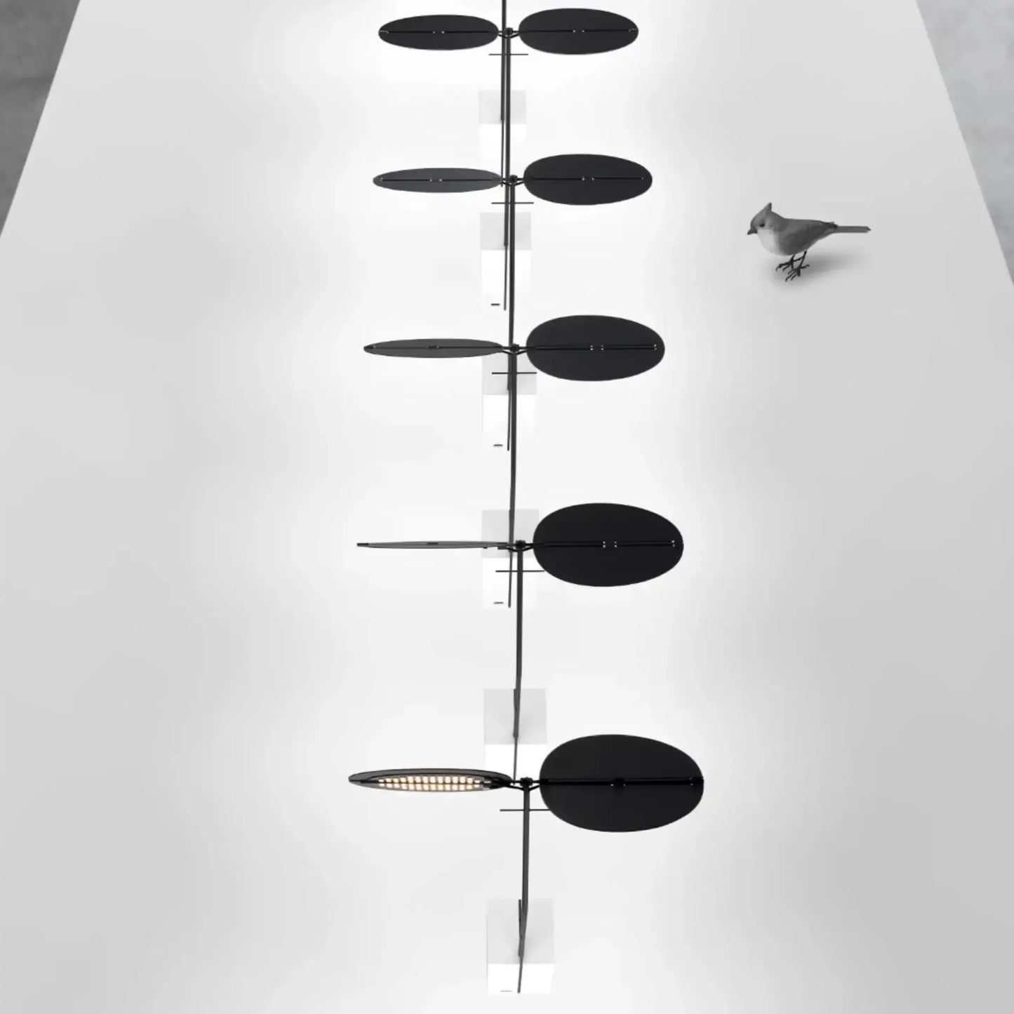 Sage Baladeuses et nomades LED