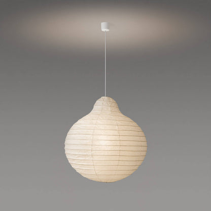 Rai Suspensions Ø75cm