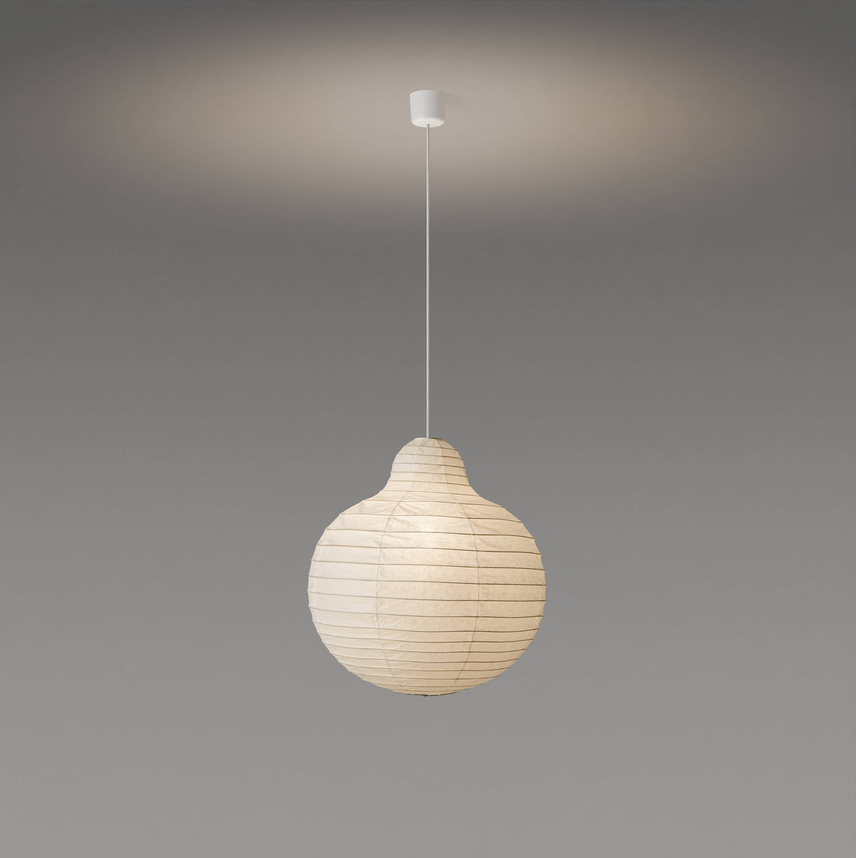 Rai Suspensions Ø54cm