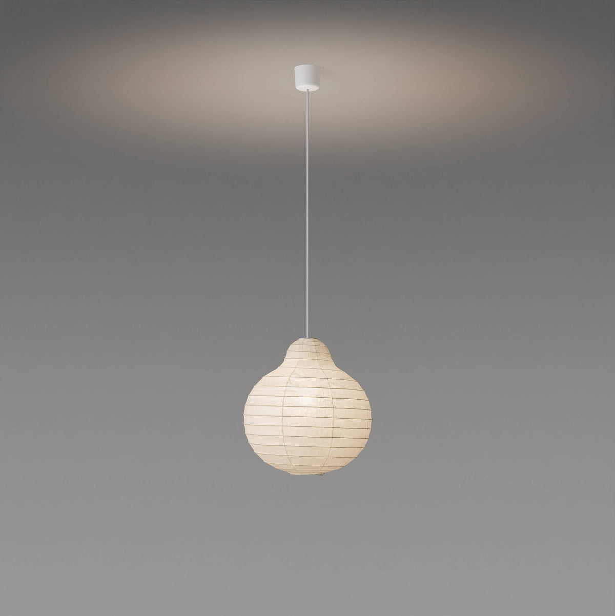 Rai Suspensions Ø40cm