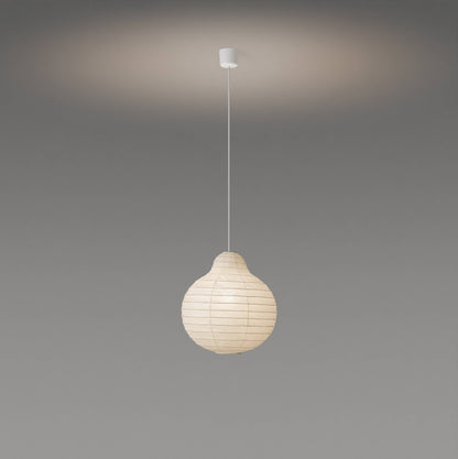 Rai Suspensions Ø40cm