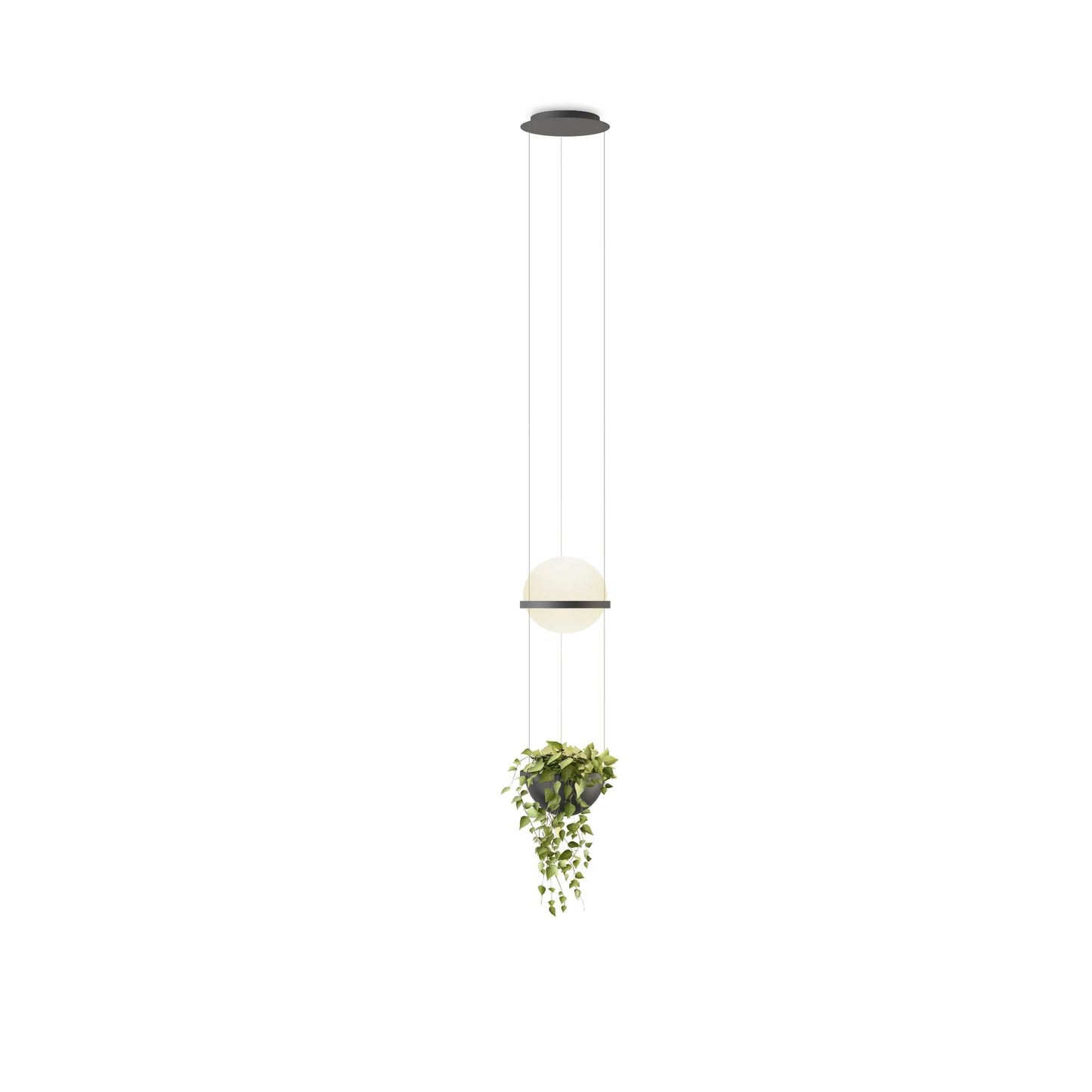 Luminaires Palma Suspensions LED Vibia coloris Default Title