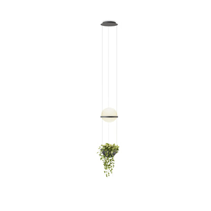 Luminaires Palma Suspensions LED Vibia coloris Default Title