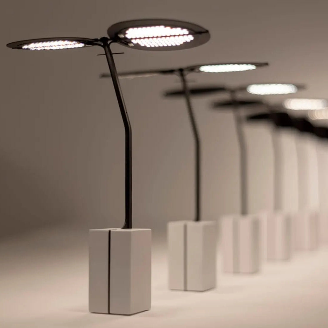 Sage Baladeuses et nomades LED