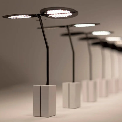 Sage Baladeuses et nomades LED