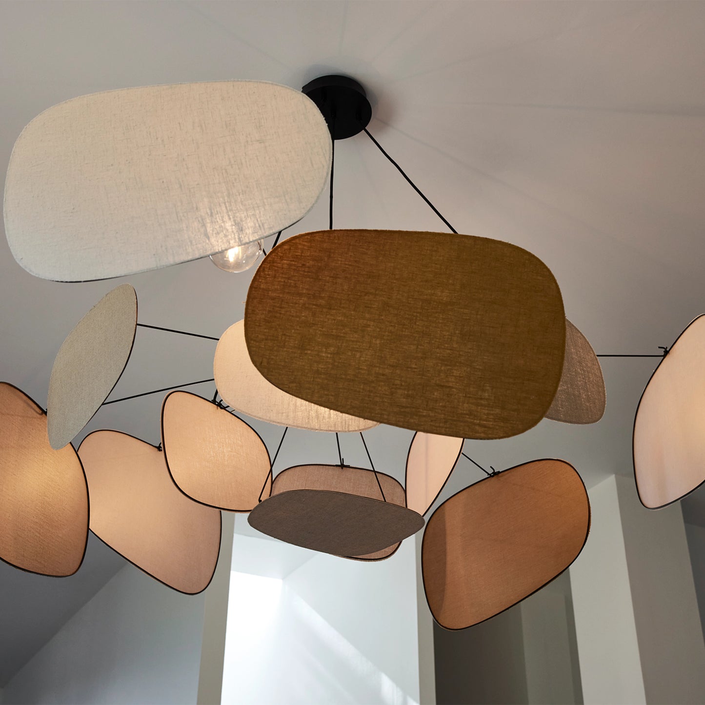 Screen 70's XXL Suspensions Lin