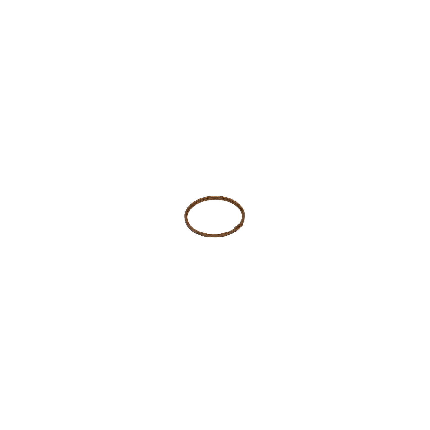 Spring Clip
