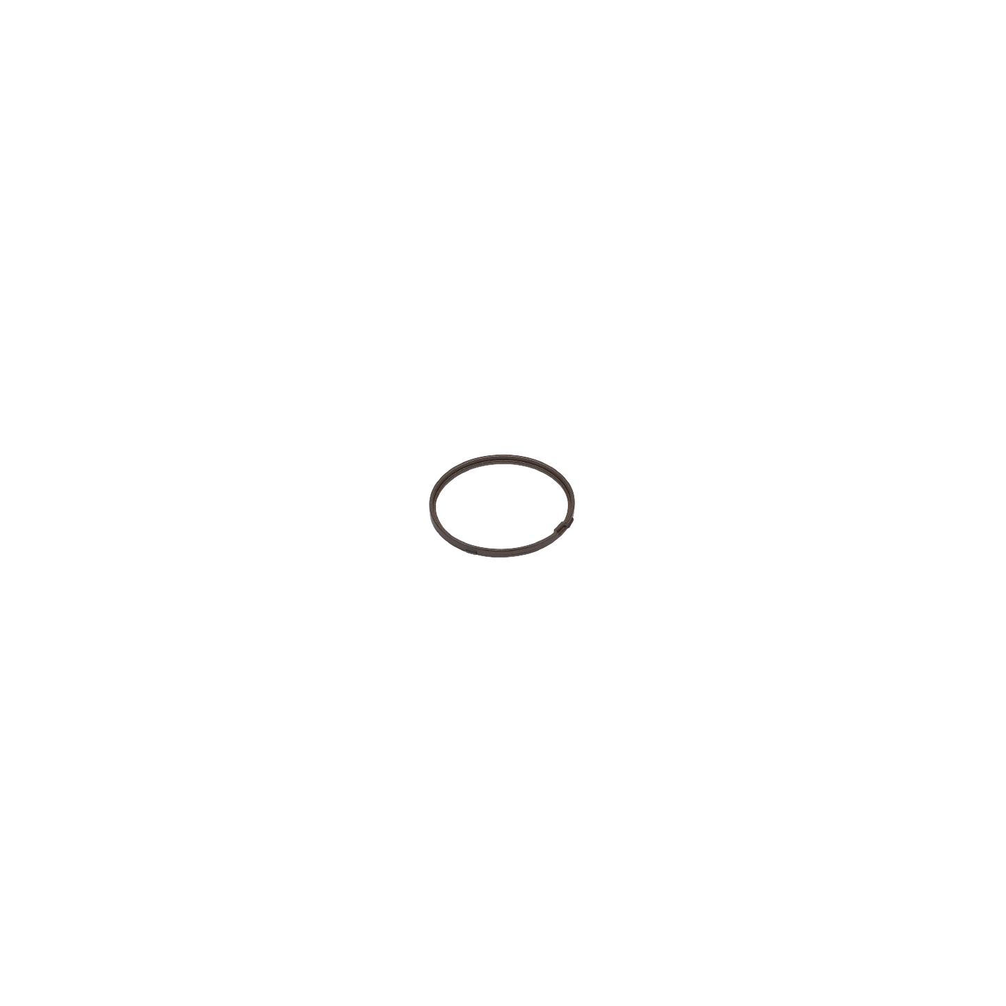 Spring Clip