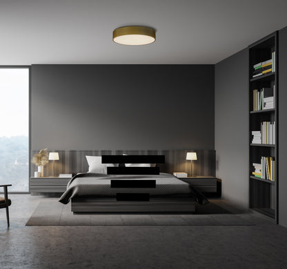 Isia 60 Plafonniers