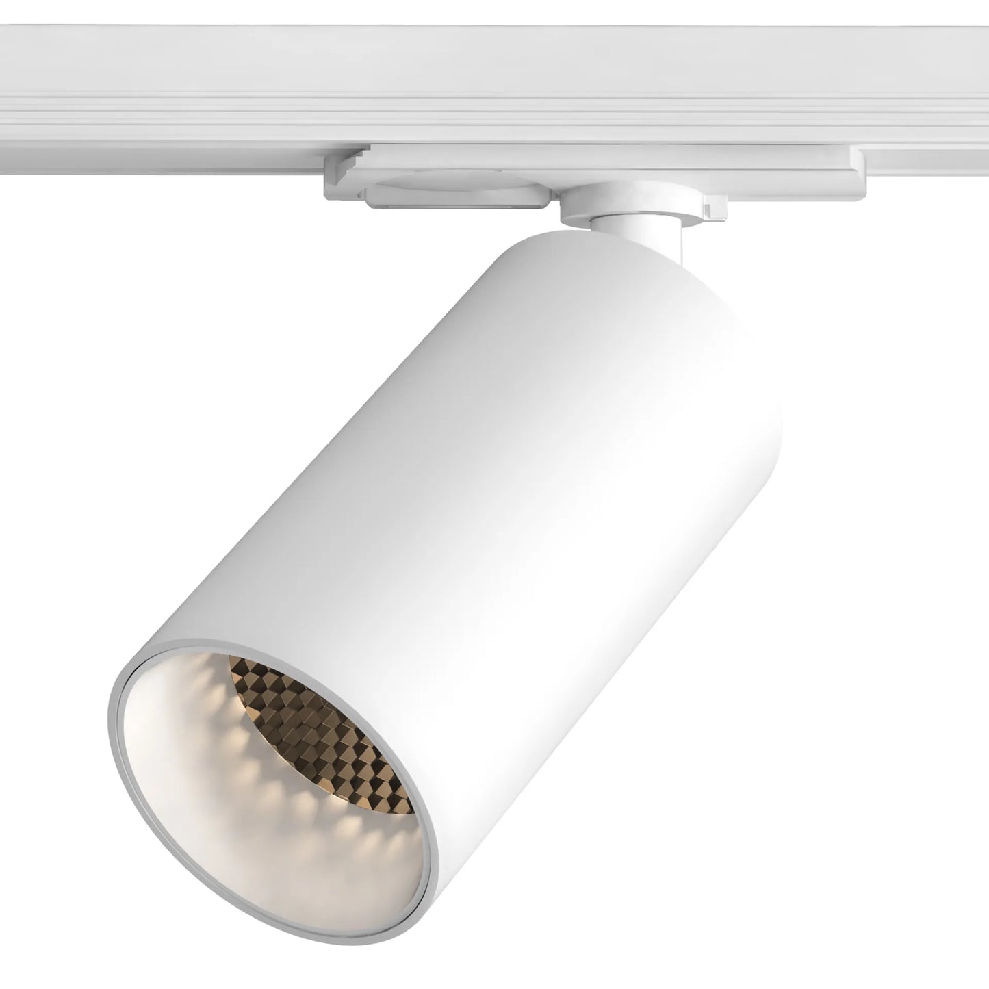 Can 50 Track IP20 Luminaires sur rail