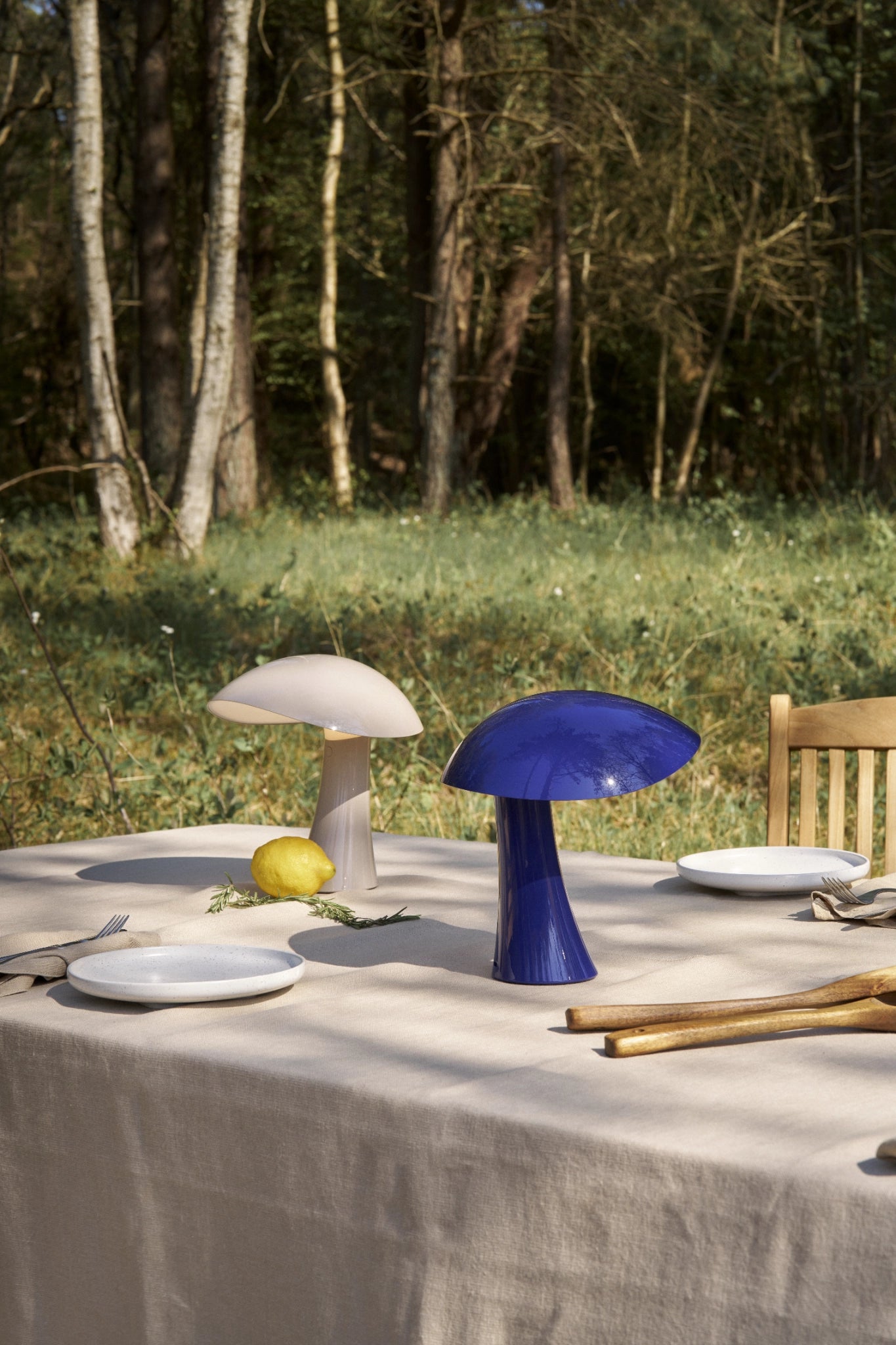 Rumee 220 Baladeuses et nomades gris et bleu sur une table de jardin