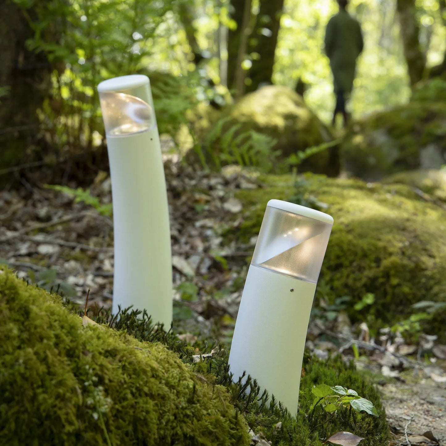 Bamboo N° 2 clair Bornes Outdoor