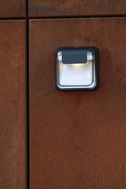Carex N°1 Diffuseur dépoli Appliques Outdoor