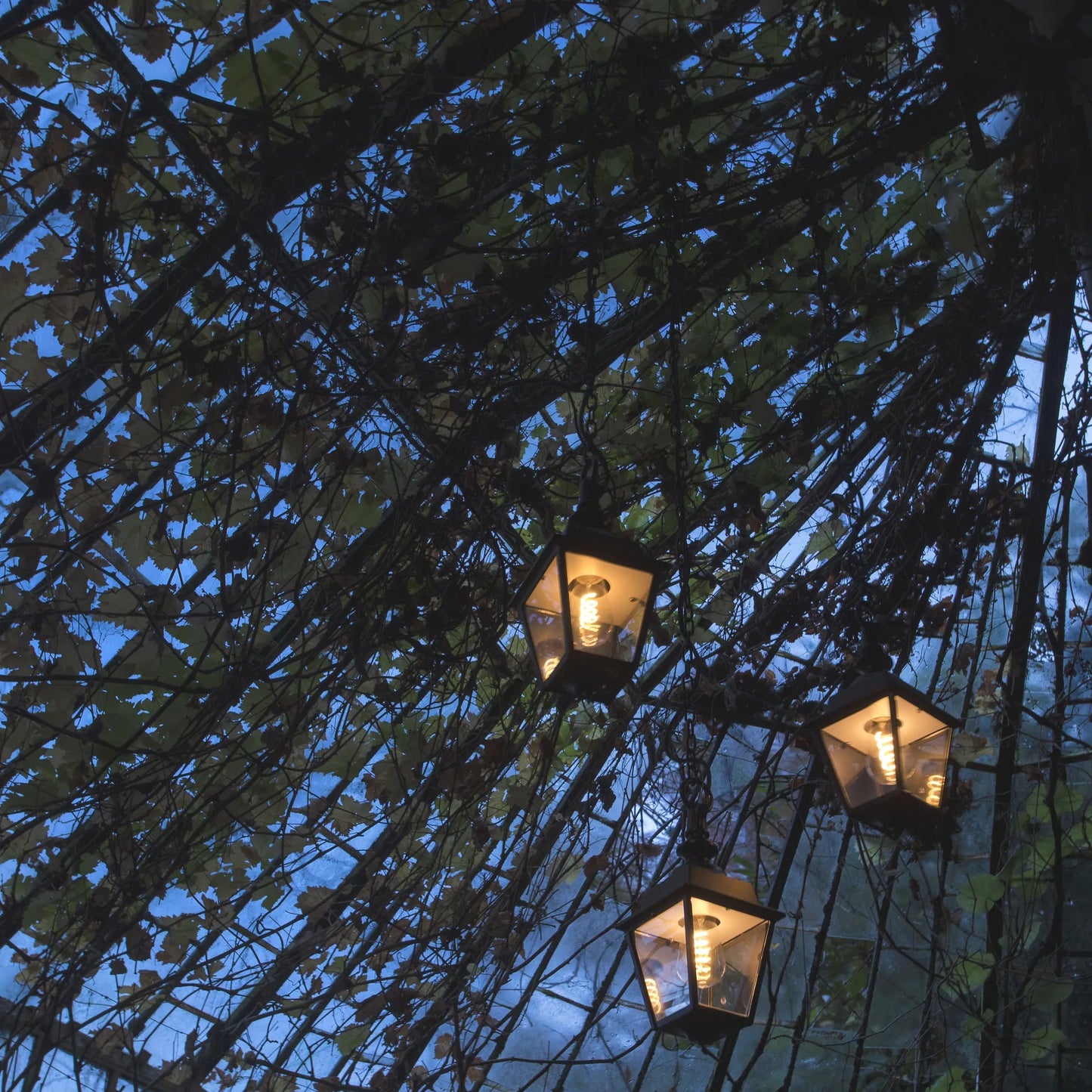 Chenonceau N° 1 Suspensions Outdoor
