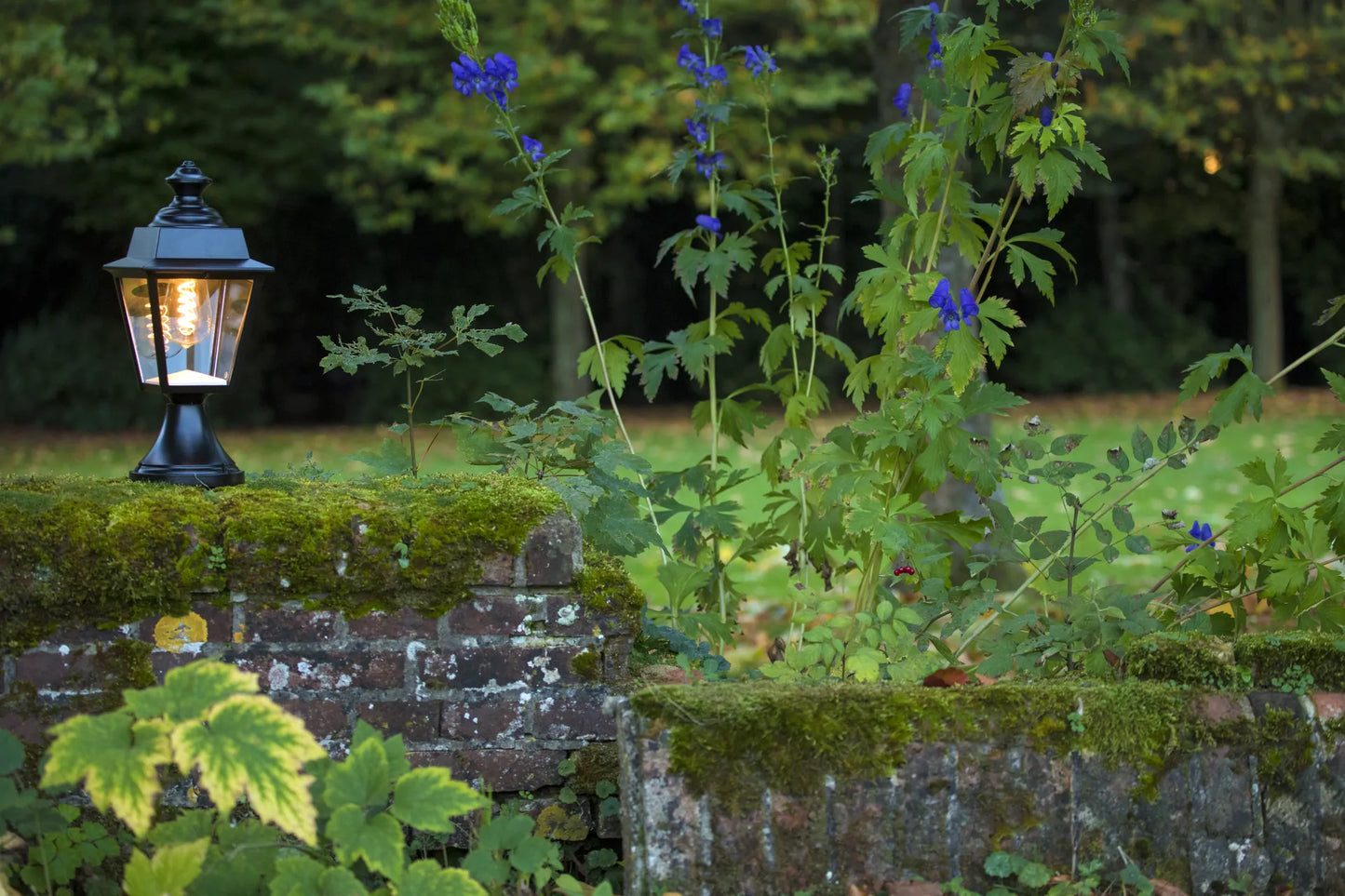 Chenonceau N° 5 Appliques Outdoor