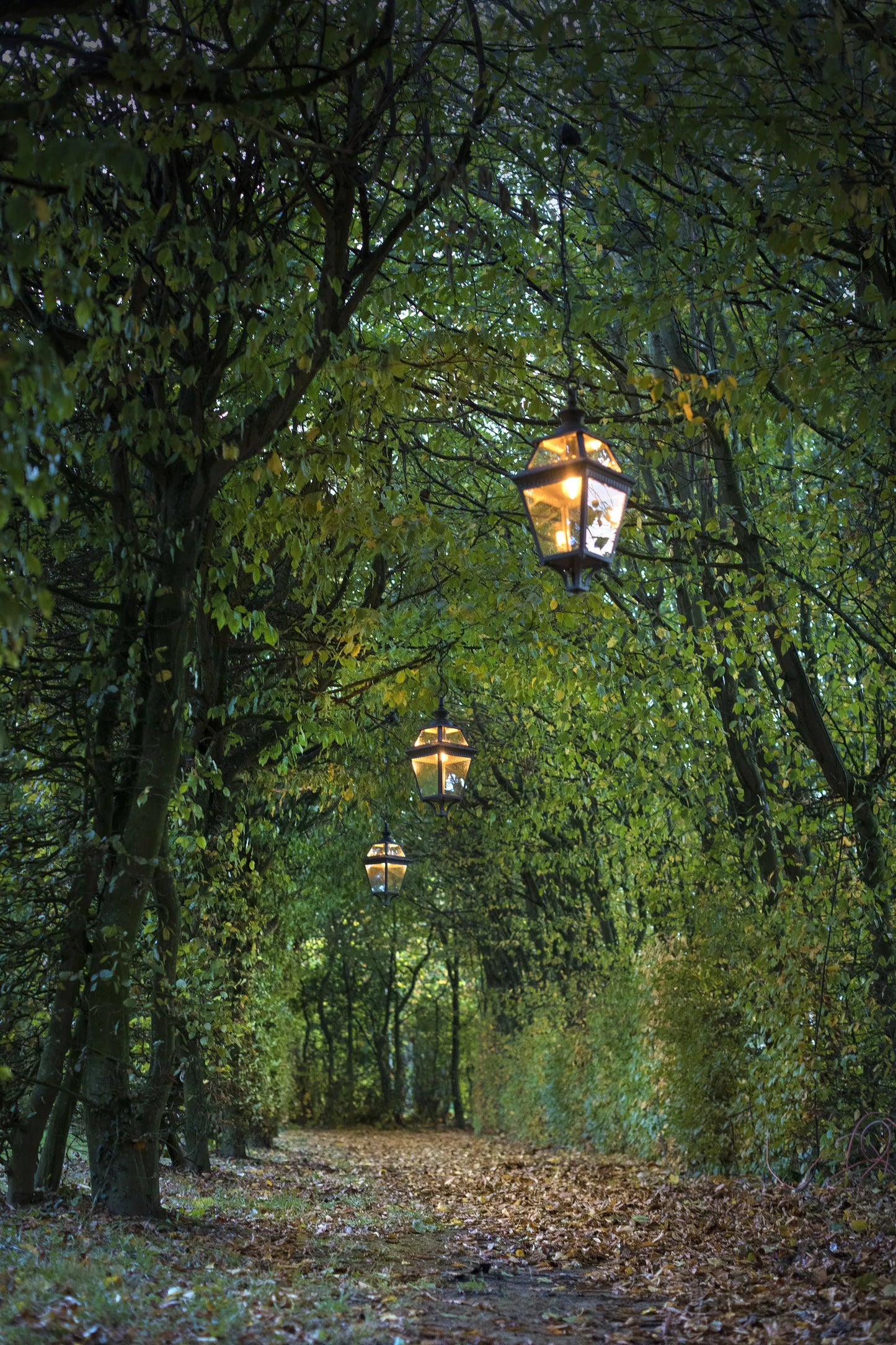 Place des Vosges 3 N° 8 Lampadaires Outdoor