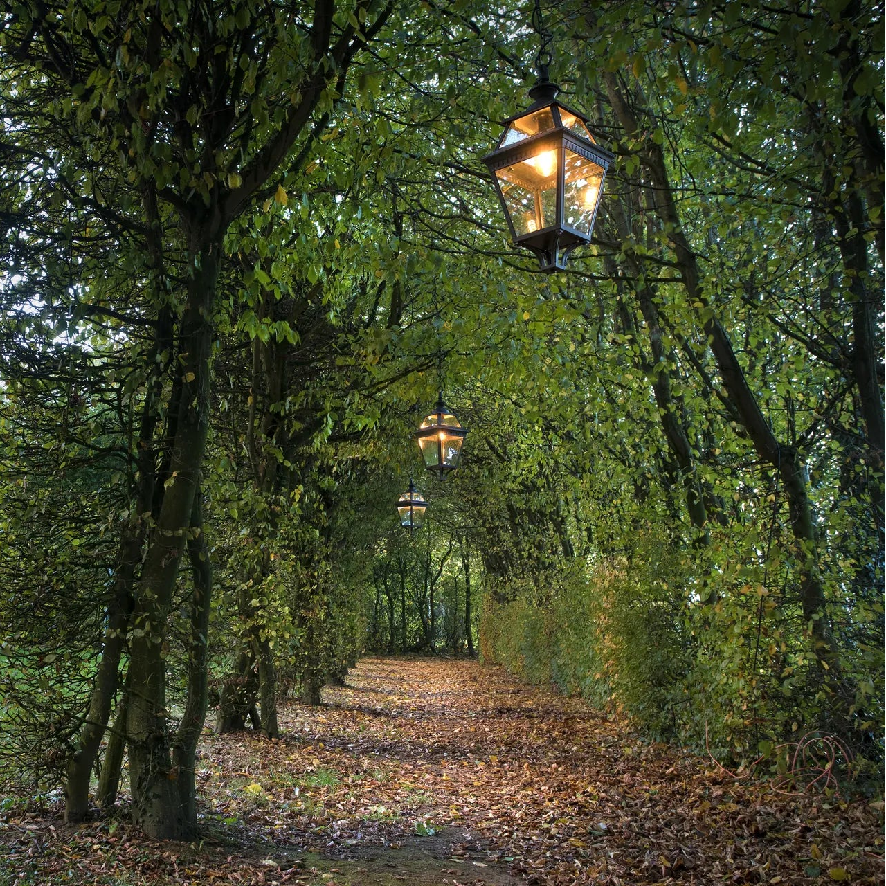 Place des Vosges 3 N° 1 Suspensions Outdoor