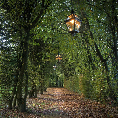 Place des Vosges 3 N° 1 Suspensions Outdoor