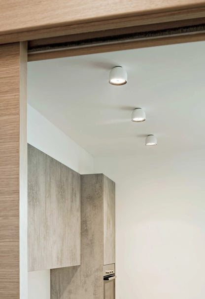 Wan orientable Plafonniers