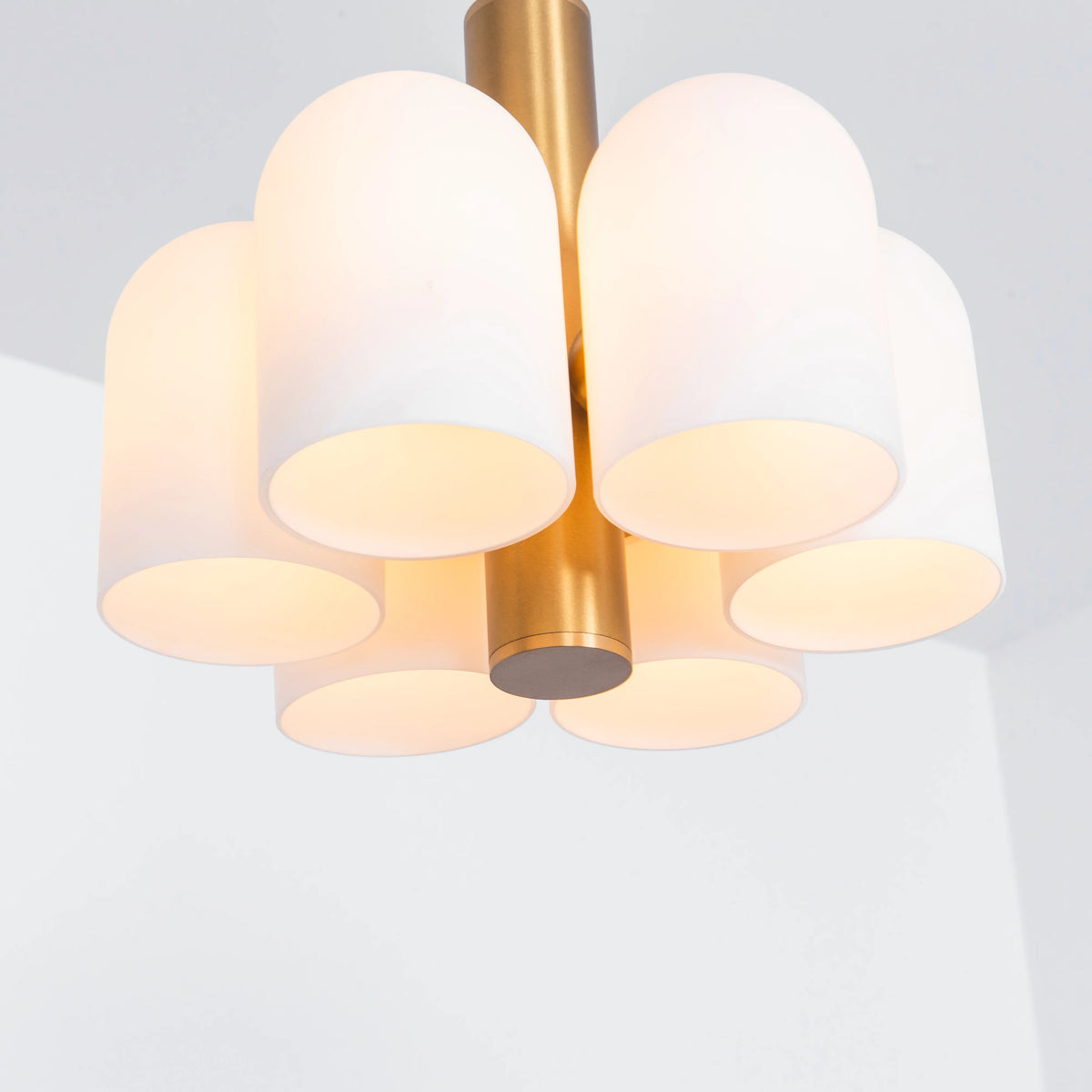 Odyssey Pendant 6 Dries Suspensions