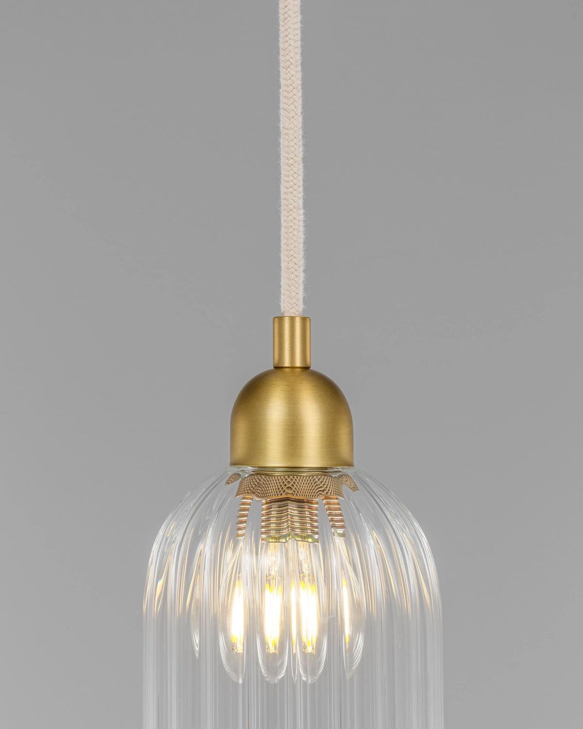 Odyssey Single Pendant SM Dries Suspensions
