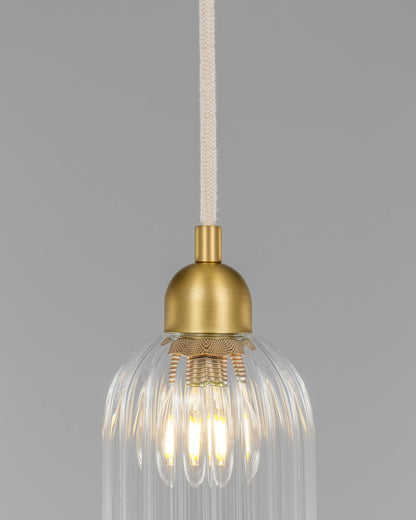 Odyssey Single Pendant SM Dries Suspensions