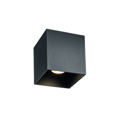 Box 1.0 LED Colour warm dimming Plafonniers Outdoor