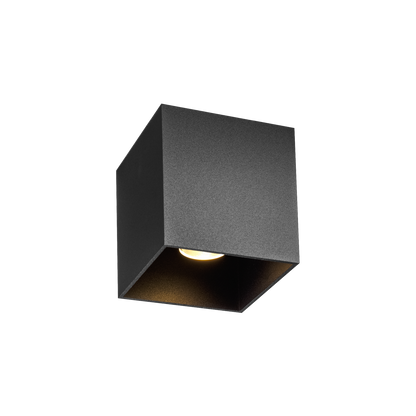 Box 1.0 LED Colour warm dimming Plafonniers Outdoor