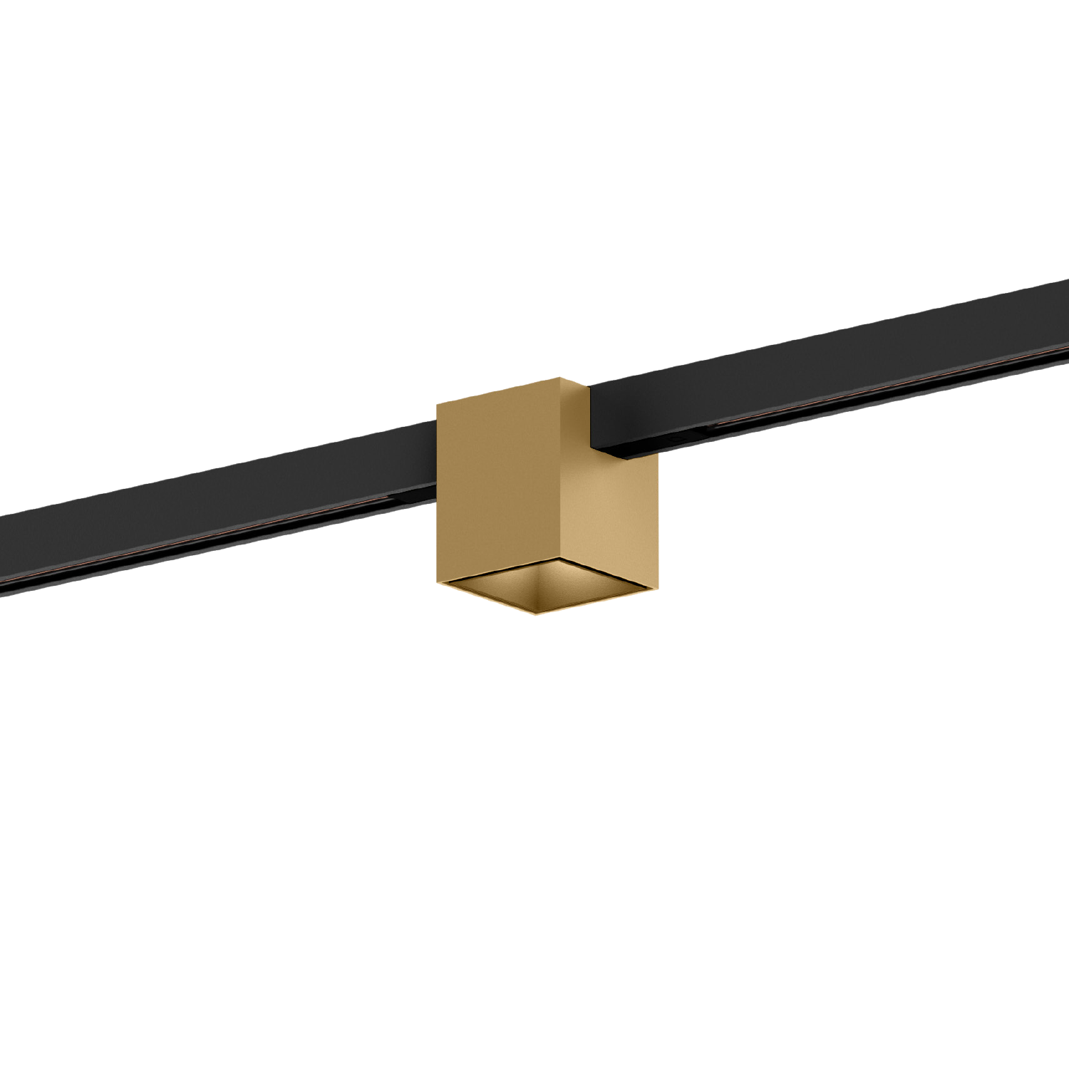 Champagne (Rail noir)